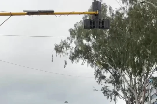 Hotgirl mạng xã hội gặp rắc rối vì nhảy giữa đường để quay video "sống ảo"