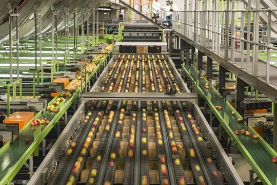 Công nghiệp thực phẩm của Trung Quốc