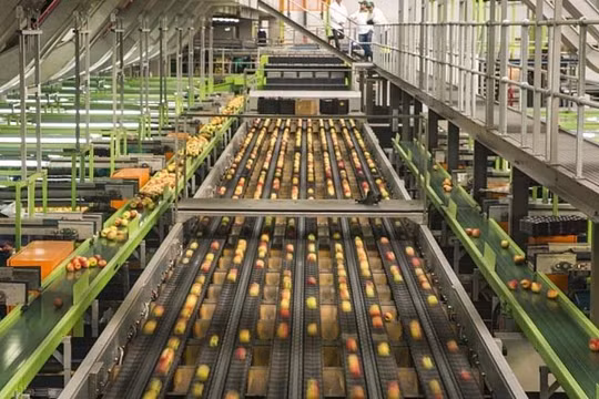 Công nghiệp thực phẩm của Trung Quốc