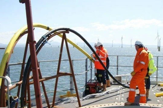 Hai tuyến cáp quang biển quốc tế APG, IA đã được sửa xong