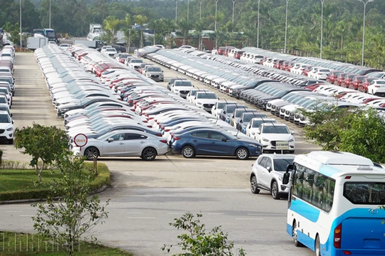 Sức mua ô tô sụt giảm mạnh trong đại dịch Covid-19