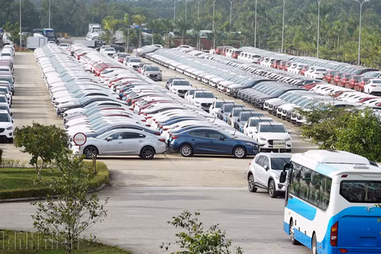 Sức mua ô tô sụt giảm mạnh trong đại dịch Covid-19