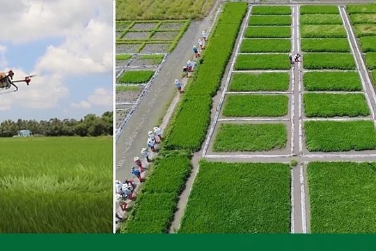 Hoàn thiện hệ sinh thái cho chuyển đổi số nông nghiệp Việt Nam