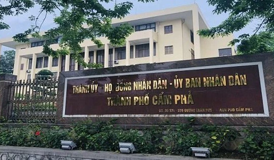 Chủ tịch Ủy ban nhân dân tỉnh Quảng Ninh giao Chủ tịch Ủy ban nhân dân thành phố Cẩm Phả khẩn trương kiểm tra dự án Khu đô thị tại khu 10B, phường Quang Hanh, thành phố Cẩm Phả.