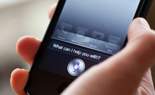 Ảnh: New York Daily News.