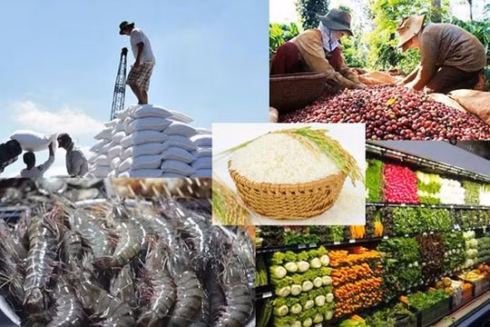 Ứng dụng công nghệ trong thu thập thông tin, dự báo tình hình thị trường nông sản