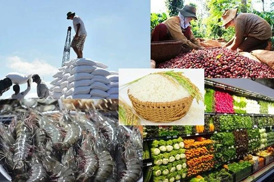 Ứng dụng công nghệ trong thu thập thông tin, dự báo tình hình thị trường nông sản