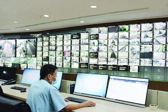 Xây dựng Hải quan số