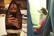 Thư giãn trong ngày đầu năm mới với chùm ảnh đánh lừa thị giác đầy hài hước