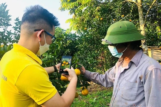 Hàng triệu nông dân học cách kinh doanh trên sàn thương mại điện tử