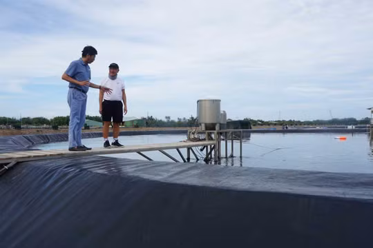 TS. Nguyễn Thanh Mỹ (phải) giới thiệu với nhà đầu tư về công nghệ nuôi tôm giàu oxy. 