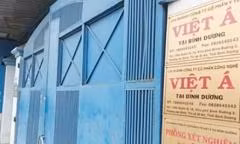 Hủy Quyết định tặng thưởng Huân chương Lao động hạng Ba đối với Công ty Việt Á