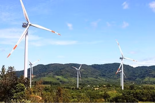 Thương vụ ít biết của AIT Group tại dự án điện gió Đức Trọng (Ảnh minh hoạ - Nguồn: Internet)