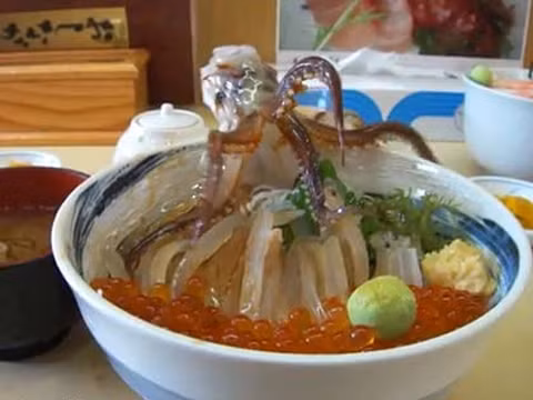 Bạch tuộc sống là món khoái khẩu của người Hàn Quốc. Ảnh minh họa: Soshiok