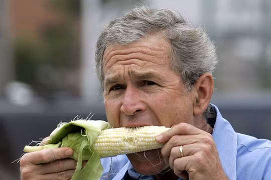 Tổng thống Bush con thưởng thức món ngô sống ngon lành