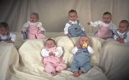 7 đứa trẻ khi tròn 1 tuổi