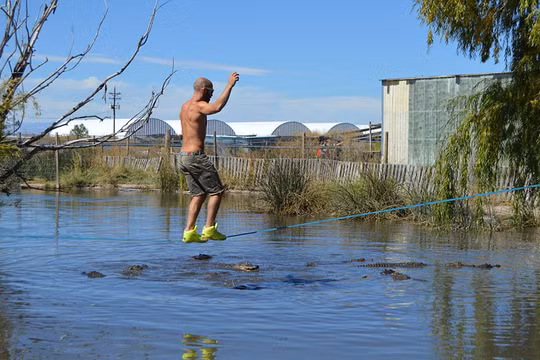 Đứng tim với màn biểu diễn trên dây thép vờn cá sấu