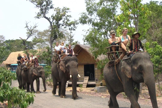 Bản Đôn mà không có voi thì coi như không còn là huyền thoại