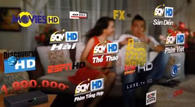 SCTV hay VTVcab dẫn đầu thị phần truyền hình trả tiền?