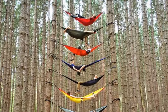 Cùng mắc võng ... 9 tầng