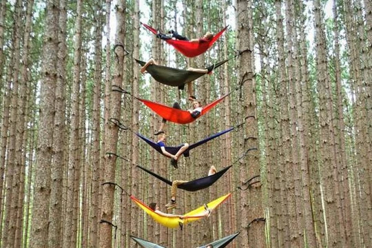 Cùng mắc võng ... 9 tầng