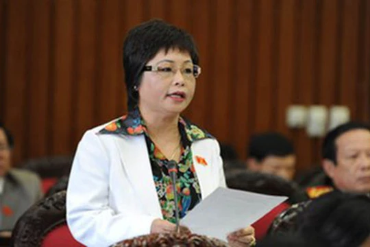 Bà Châu Thị Thu Nga, nguyên Đại biểu Quốc hội khoá XIII.
