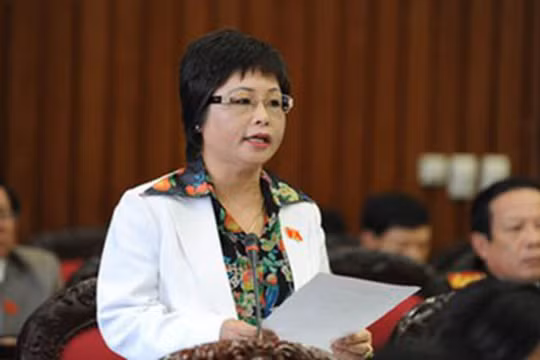 Bà Châu Thị Thu Nga, nguyên Đại biểu Quốc hội khoá XIII.