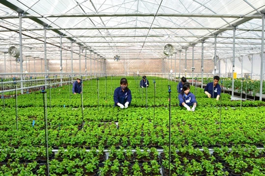 Để triển khai gói tín dụng 100.000 tỷ đồng cho NNCNC cần sự vào cuộc quyết liệt của các bộ, ban, ngành liên quan