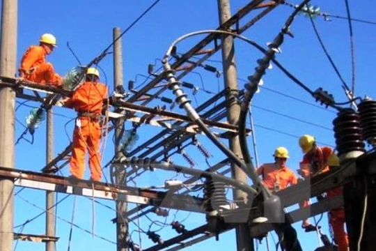 Ảnh minh họa: TTXVN