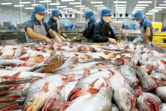 Liệu HVG có đi vào "vết xe đổ" của Bianfishco?