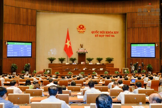 Quốc hội biểu quyết thông qua Nghị quyết về việc thi hành Bộ luật hình sự và các luật có liên quan - Ảnh: Cổng TTĐT QH