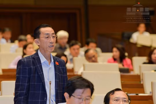 PGS. TS Trần Hoàng Ngân (Ảnh: QH)