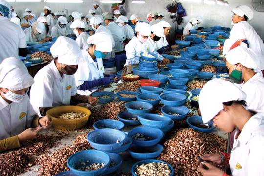 Ảnh minh họa - Nguồn: Internet