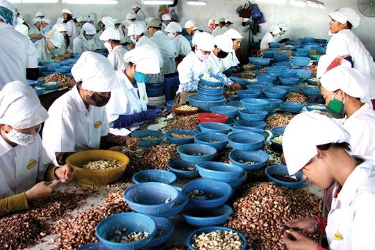 Ảnh minh họa - Nguồn: Internet