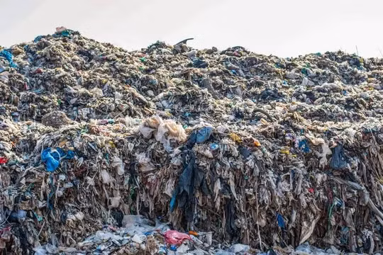 Chất xúc tác và vi khuẩn có thể chuyển hóa rác thải nhựa thành hợp chất hữu ích. Ảnh NewScientic