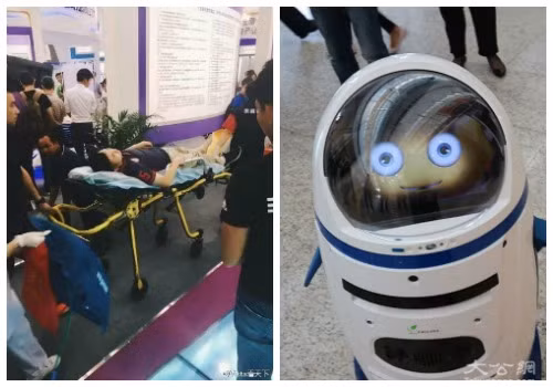 Robot Little Chubby và khách tham quan bị thương sau sự cố