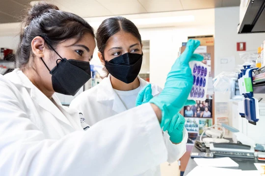 Sonali Chaturvedi (trái) và Daniela Lopez (phải) trong phòng thí nghiệm của Leor Weinberger tại Viện Gladstone. Ảnh: Michael Short / Viện Gladstone
