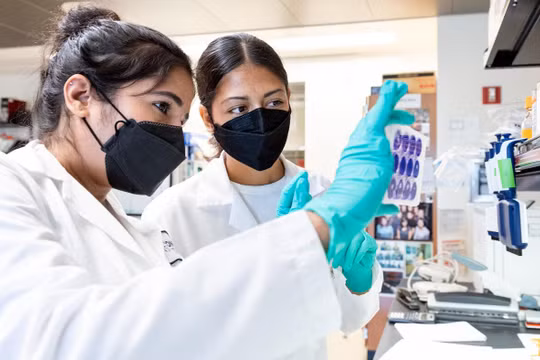 Sonali Chaturvedi (trái) và Daniela Lopez (phải) trong phòng thí nghiệm của Leor Weinberger tại Viện Gladstone. Ảnh: Michael Short / Viện Gladstone