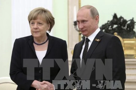 Tổng thống Nga Vladimir Putin (phải) có cuộc gặp với Thủ tướng Đức Angela Merkel (trái). (Ảnh: AFP/TTXVN)