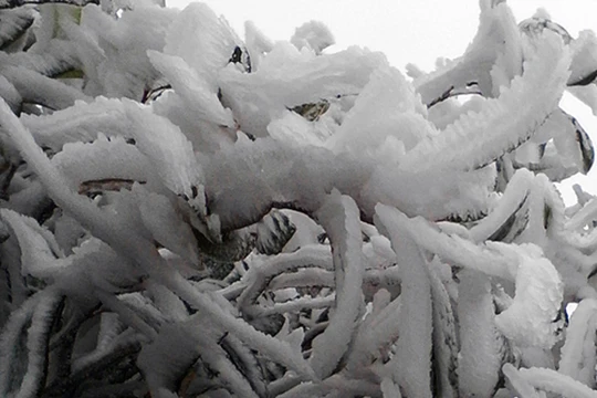 Băng tuyết Sa Pa 18.12