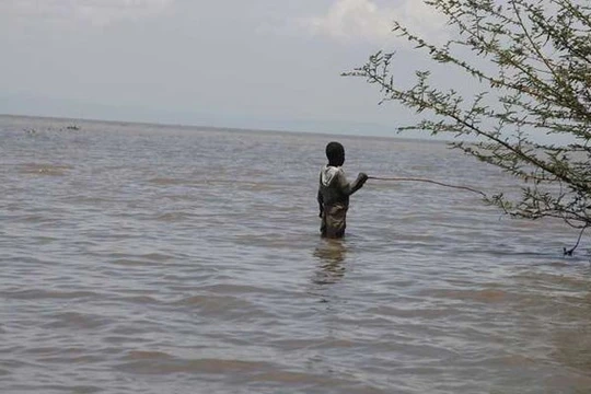 Một cậu bé mưu sinh trên hồ Victoria - Ảnh: nation.co.ke