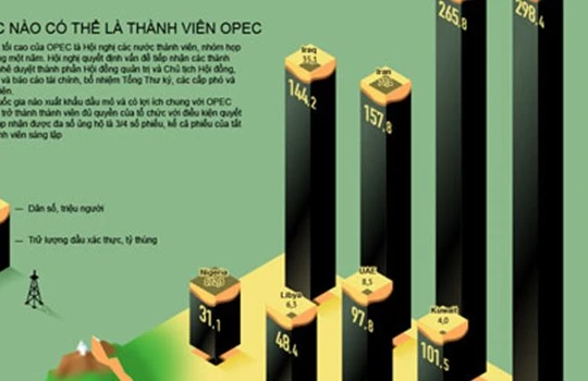 Toàn cảnh về cấu trúc sức mạnh của OPEC