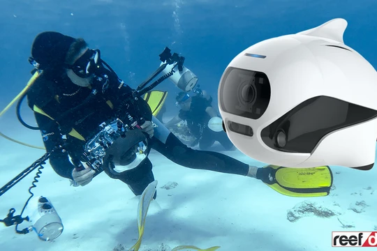 Biki robot Trung Quốc