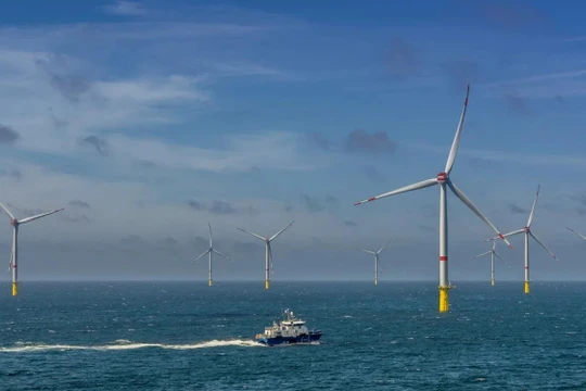 Dự án trang trại điện gió ngoài khơi Star of the South của Úc. Ảnh Electrek