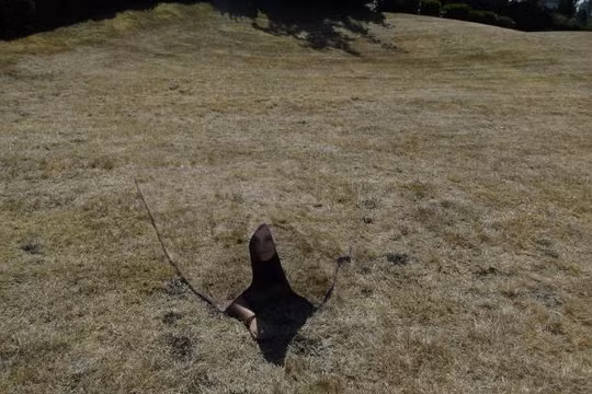 Công nghệ ngụy trang tàng hình.