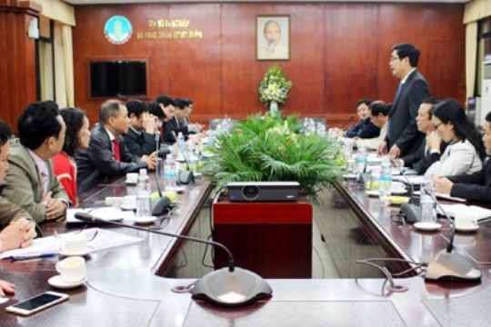 Vingroup đề xuất trồng rau sạch trên cánh đồng mẫu lớn tại Quảng Ninh