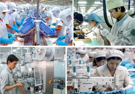 Hiện chất lượng nguồn nhân lực của Việt Nam còn thấp và có khoảng cách khá lớn so với các nước trong khu vực. Ảnh minh hoạ 