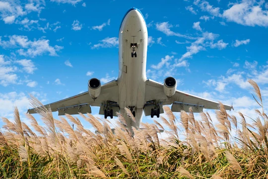 Sản xuất nhiên liệu sinh học từ cỏ miscanthus thay thế nhiên liệu cho hàng không dân dụng. Ảnh Scitech Daily.