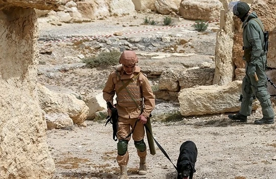 Công binh Nga phát hiện một kho vũ khí lớn của IS ở Palmyra