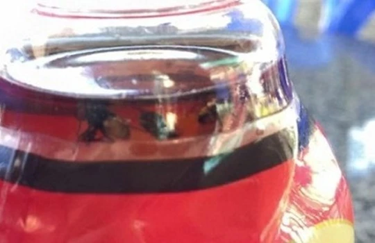 Chai nước Dr Thanh có ruồi còn hạn sử dụng (Ảnh: Người Lao Động).